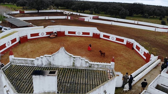 Tendido cero - 08/02/20