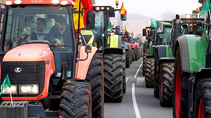 Informe Semanal - Precios de ruina