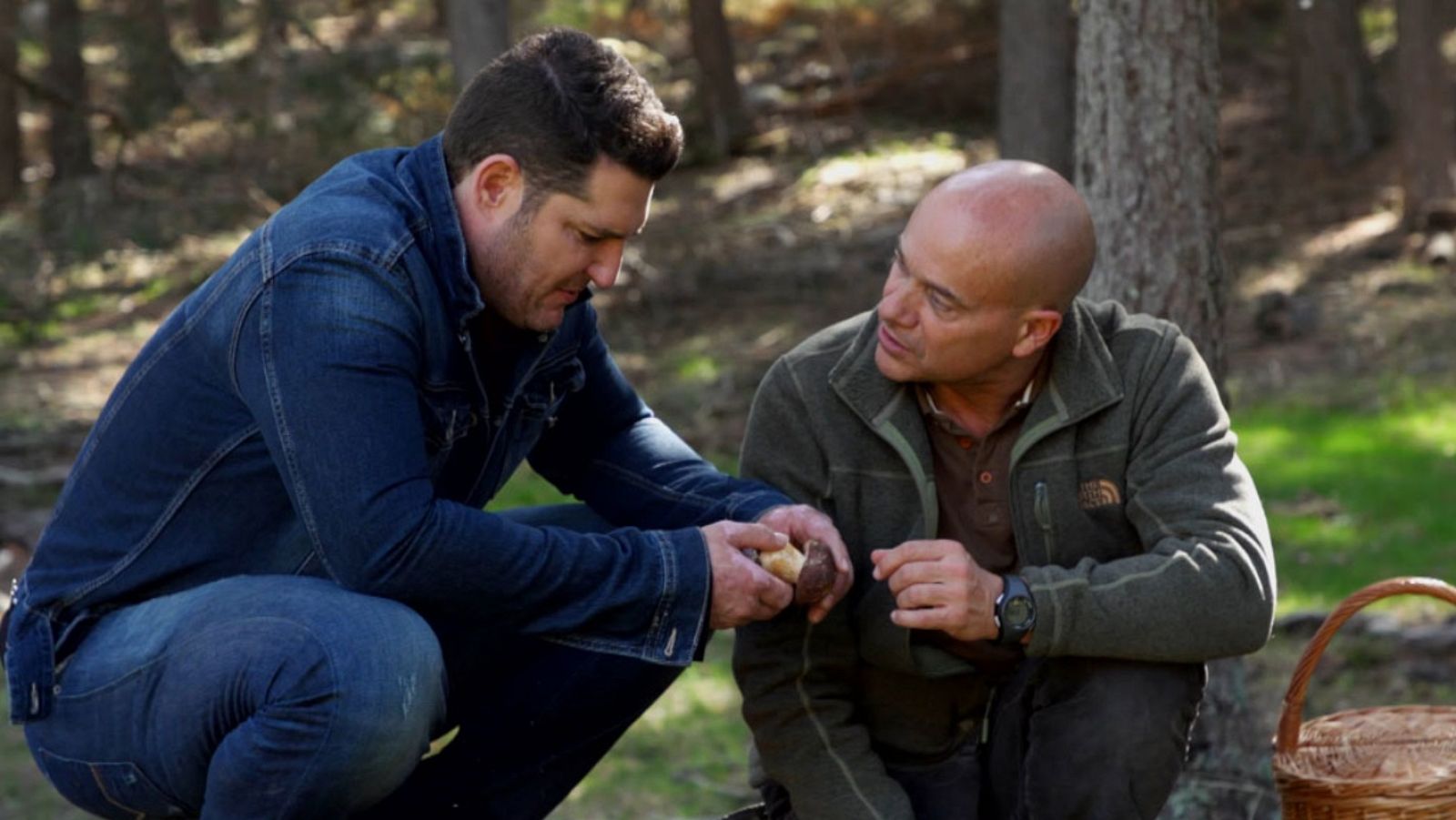 El señor de los bosques - Pelagallinas (Guadalajara) - ver ahora