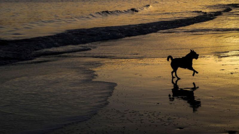 Las temperaturas máximas subirán en el interior de Andalucía, meseta Norte, valle del Ebro y litoral cantábrico