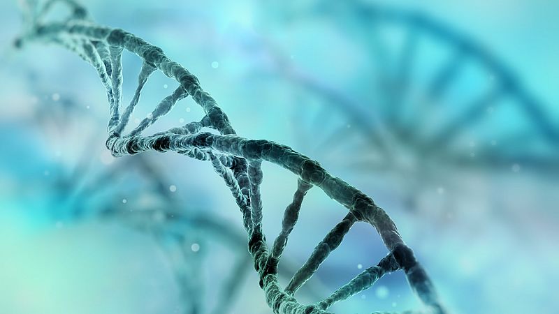 Autorizan una investigación pionera que modifica el ADN de embriones en España