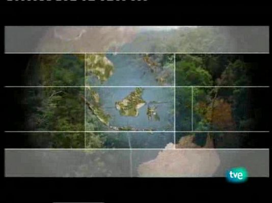 Otros documentales - La jungla humana