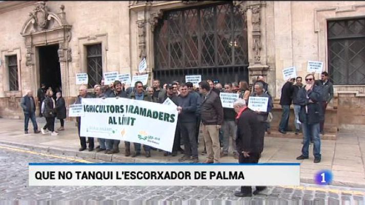 Informatiu Balear - Informatiu Balear - 12/02/20