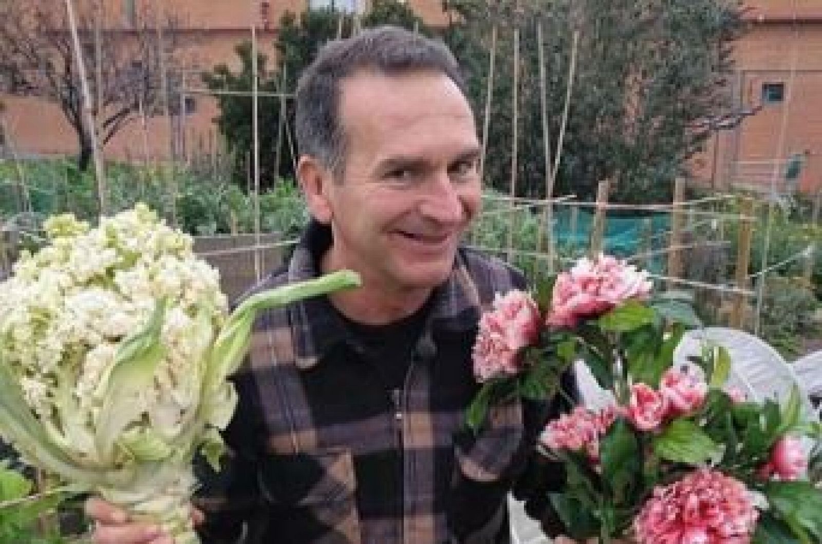 Las flores de la coliflor