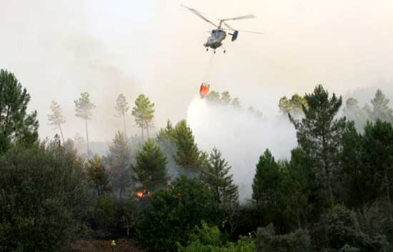 Uno de los focos del incendio de las Hurdes permanece activo. La isla de Córcega sufre otro incendio que ha llevado a las autoridades regionales a pedir la declaración de desastre natural.