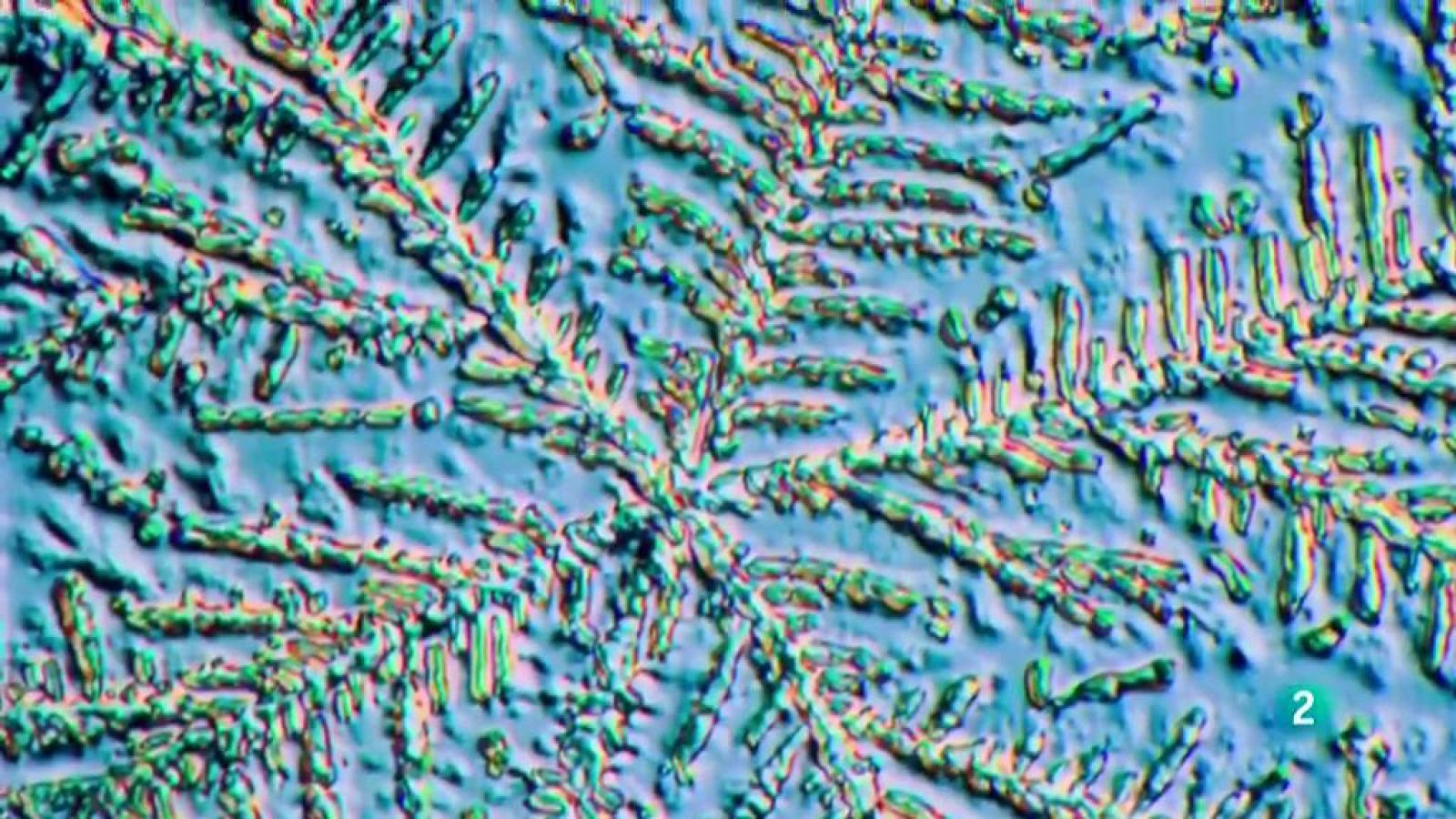 Boek visual: Sasha R. Gregor fotógrafo  La aventura del saber Lacrimosa