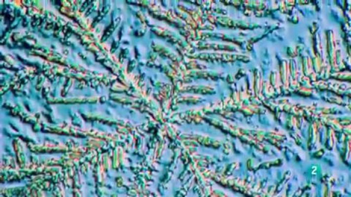 La aventura del Saber - Boek visual: Sasha R. Gregor