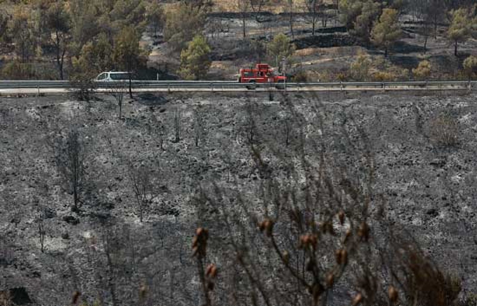 Lo que deja el fuego a su paso - Ciencia y tecnología en Rtve.es | Ver