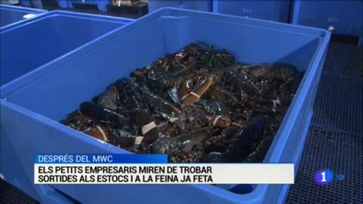 L'Informatiu - L'Informatiu - 14/02/2020