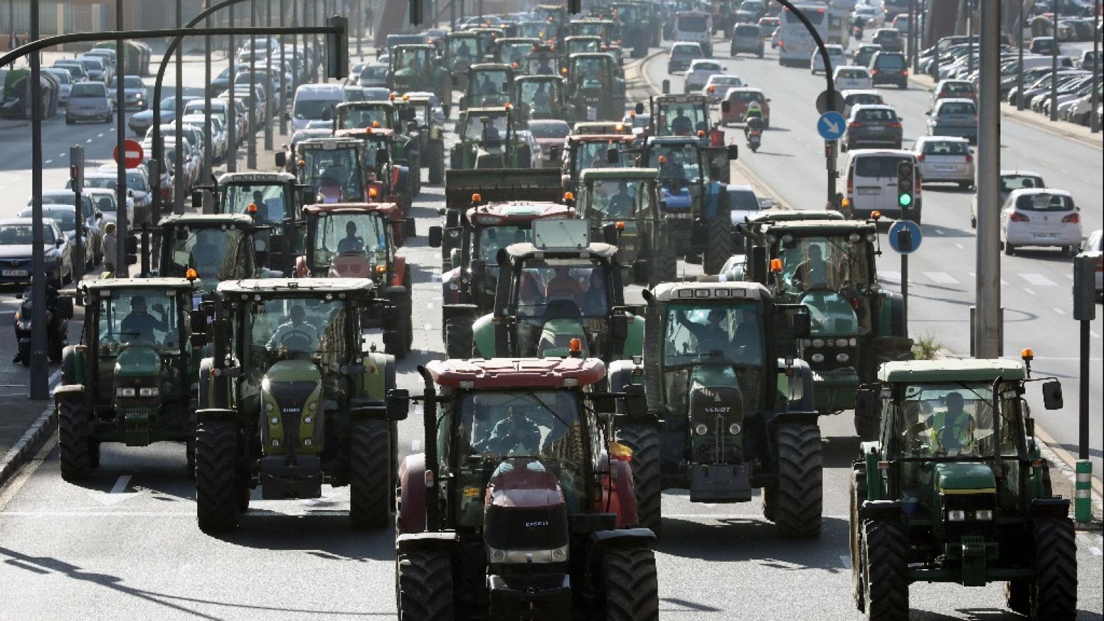 L'Informatiu - Comunitat Valenciana - 14/02/20 - ver ahora