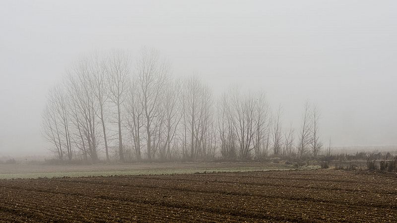 Cielos poco nubosos con bancos de niebla matinales - Ver ahora