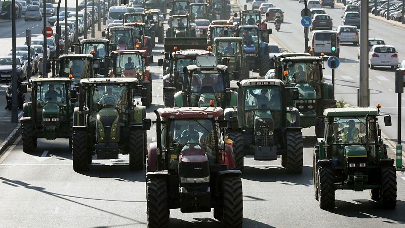 La lucha del campo: los agricultores reclaman mejores precios y un mercado más justo