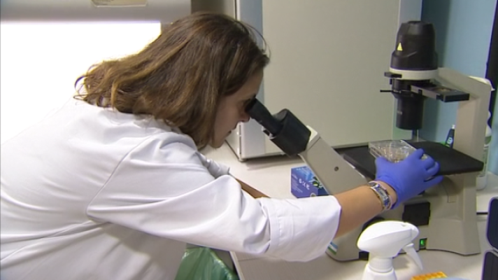 Telecanarias - Telecanarias 2 - 14/02/2020