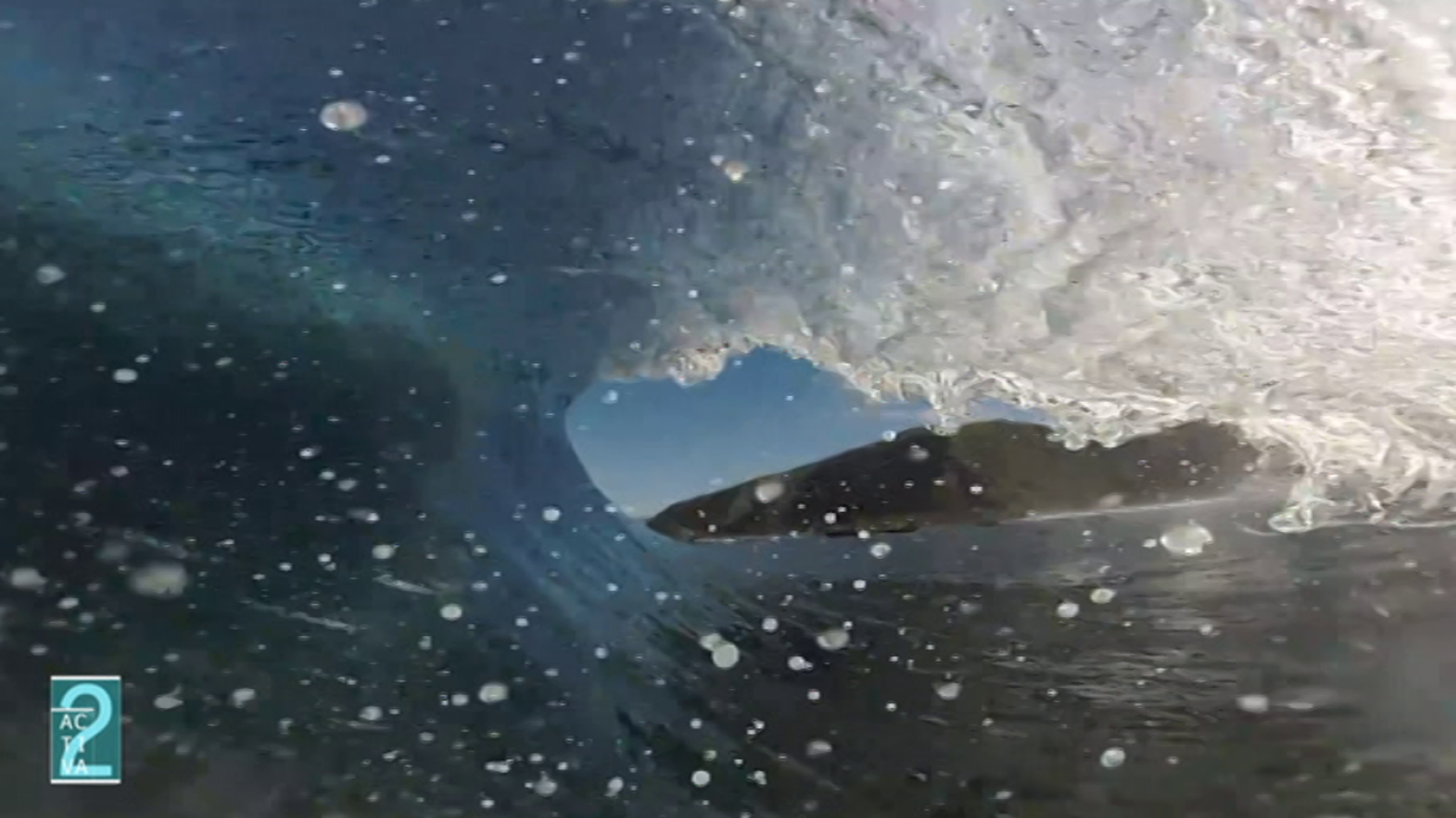 Activa2 - 15/02/20 - ver ahora