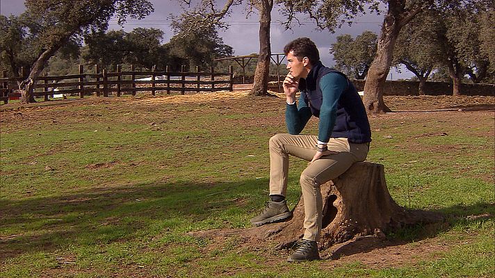 Tendido cero - Tendido cero - 15/02/20