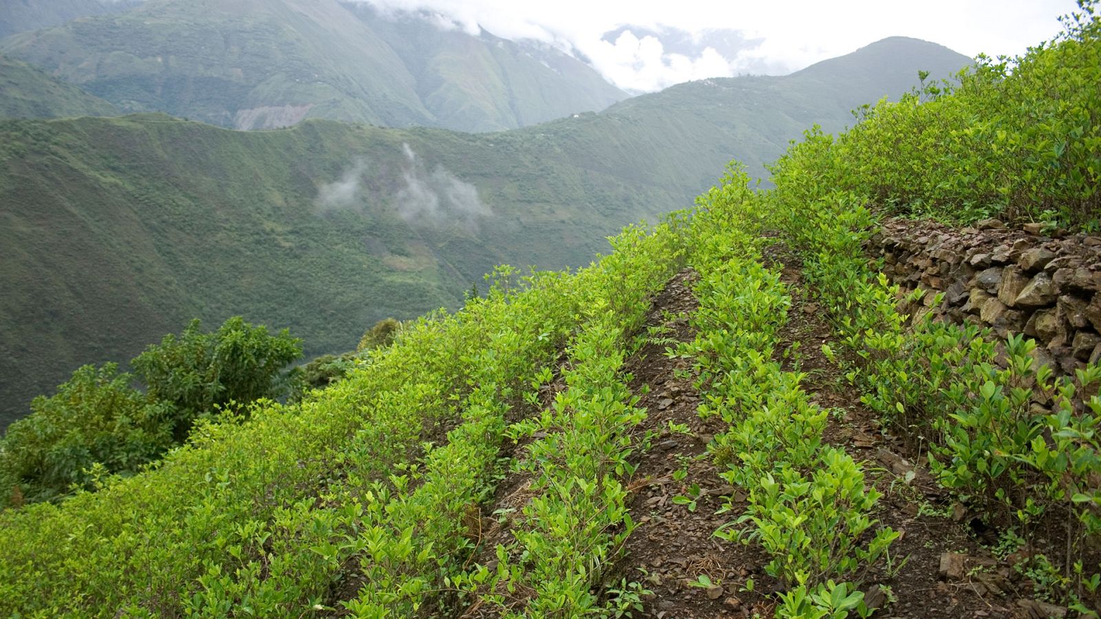 Informe Semanal - El lado oscuro del Macizo - ver ahora