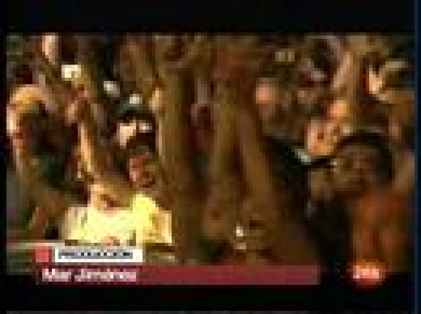 Bilbao vibra con el 'Boss' | Ver