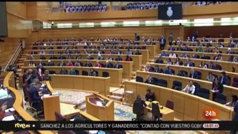 Parlamento - El Foco Parlamentario - Sesión Control Senado - 15/02/2020