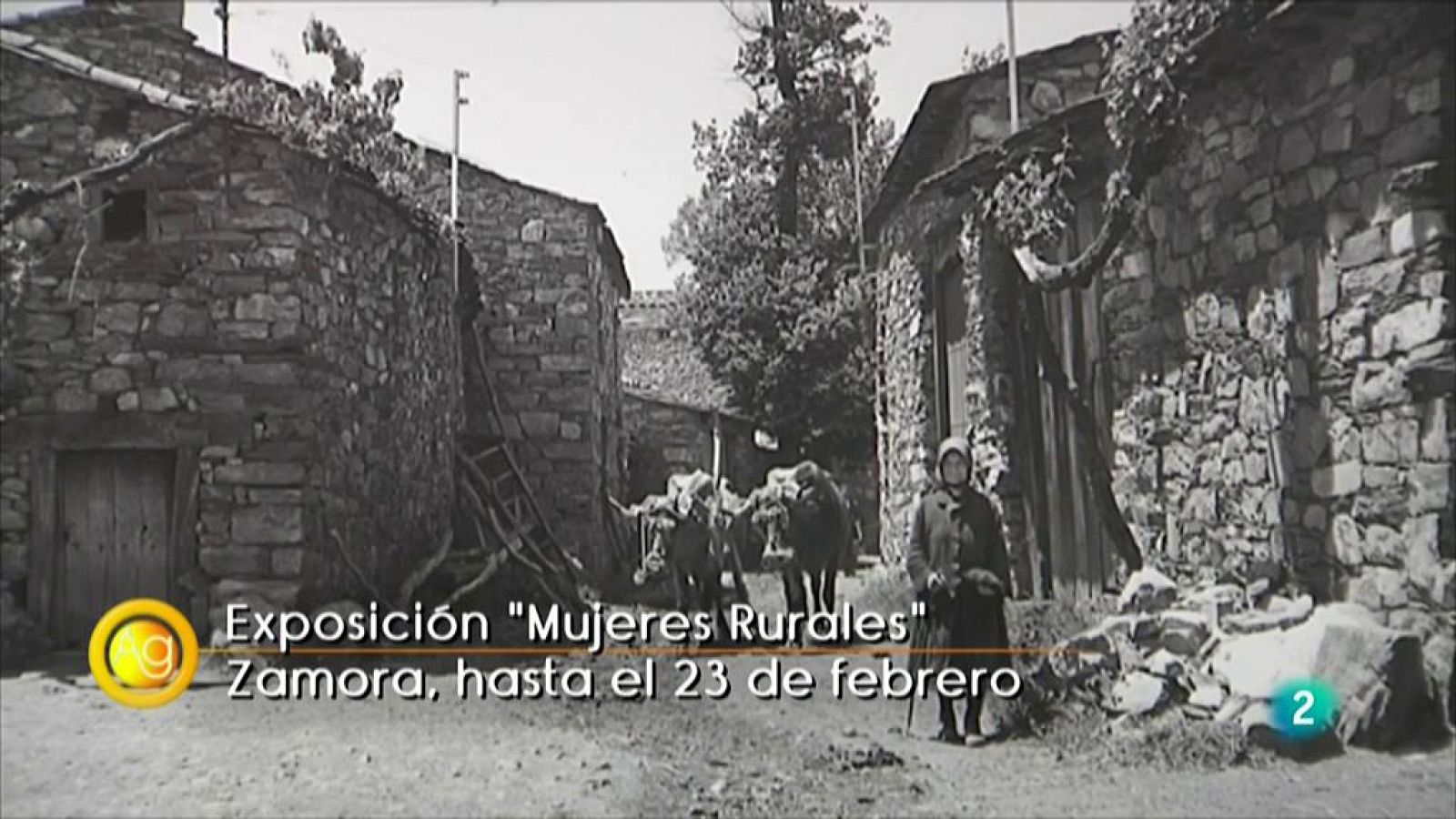 Las mujeres rurales en fotografías - RTVE Igualdad | Ver