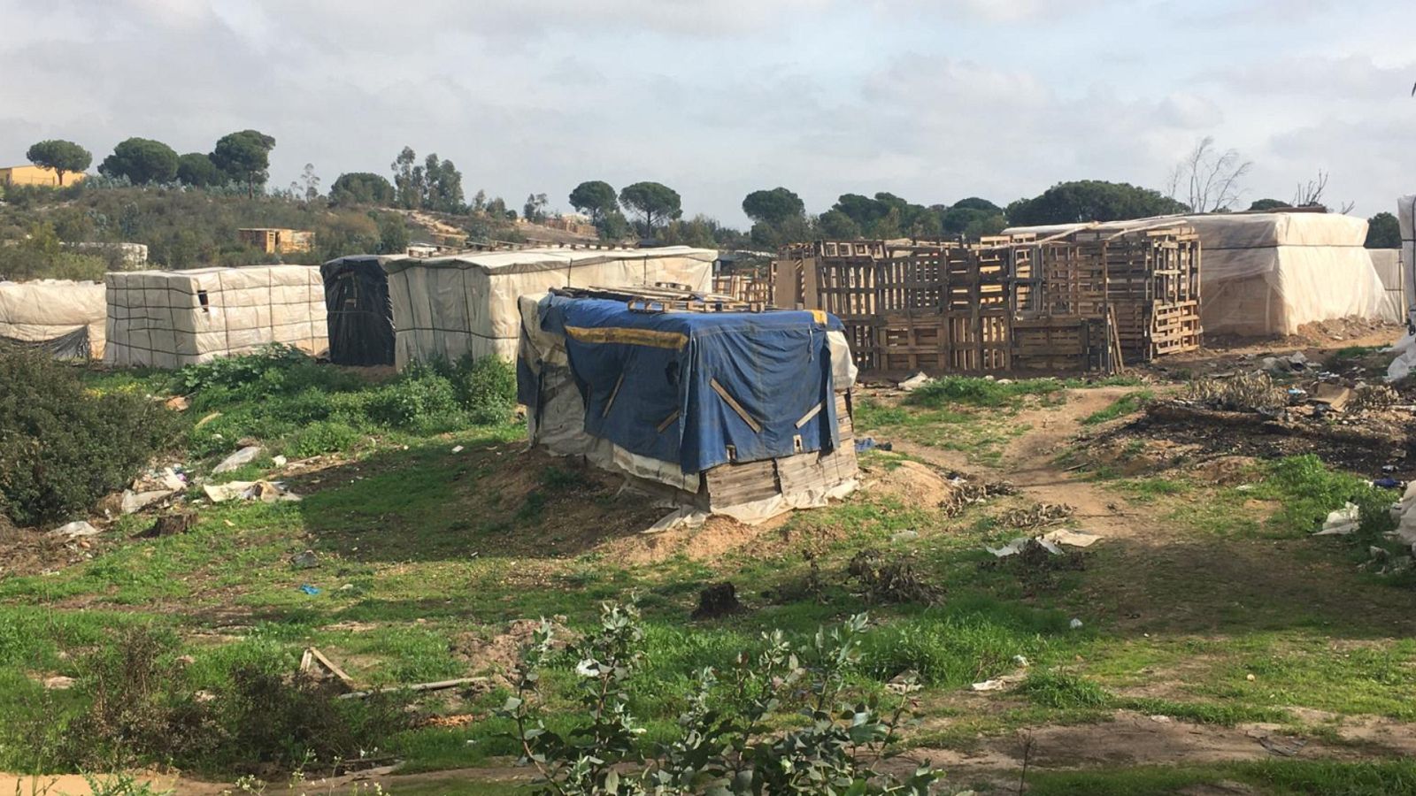 La dura vida de los temporeros - España Directo | Ver