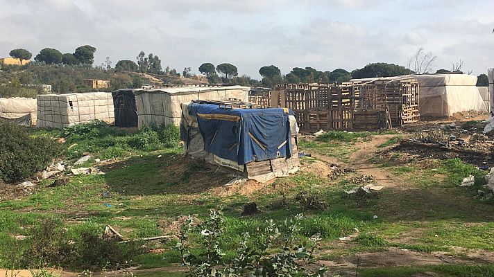 España Directo - La dura vida de los temporeros