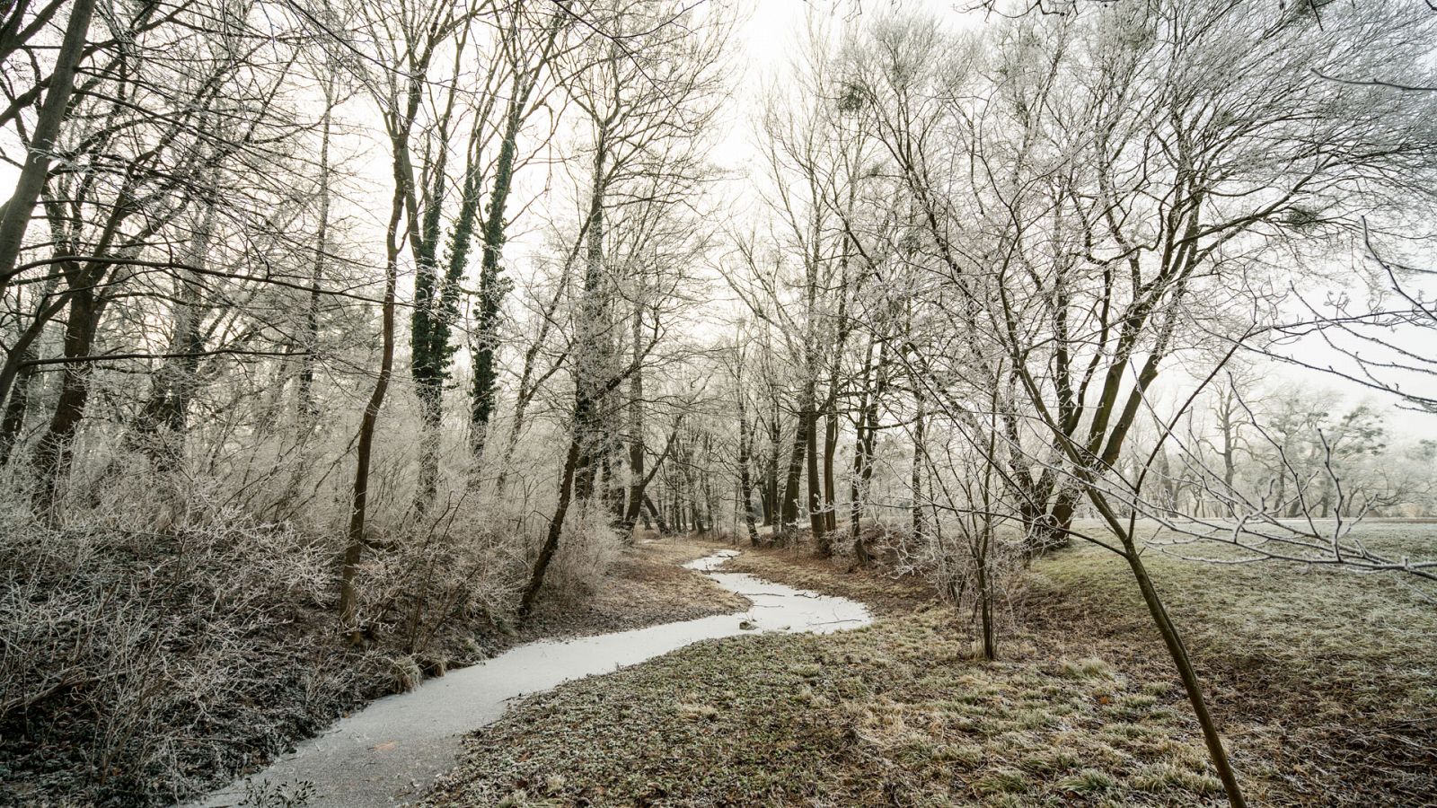 Cielo poco nuboso o despejado y heladas en zonas altas de la mitad norte - Ver ahora