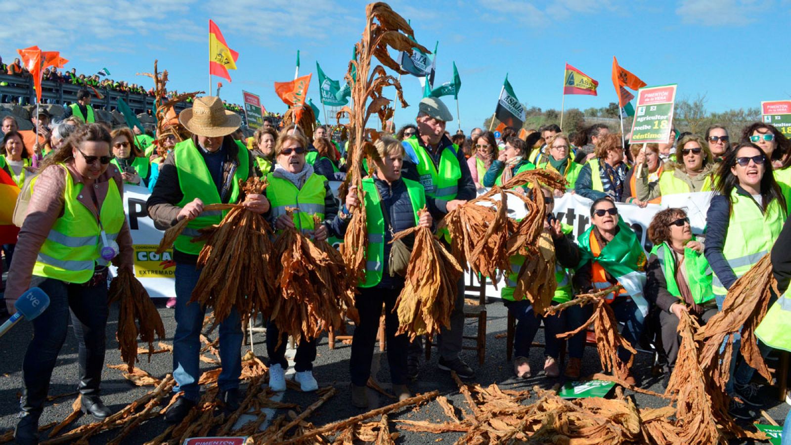 Cortes de autovías para pedir precios justos en el campo