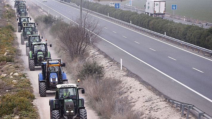 Las importaciones agrícolas empujan los precios a la baja 