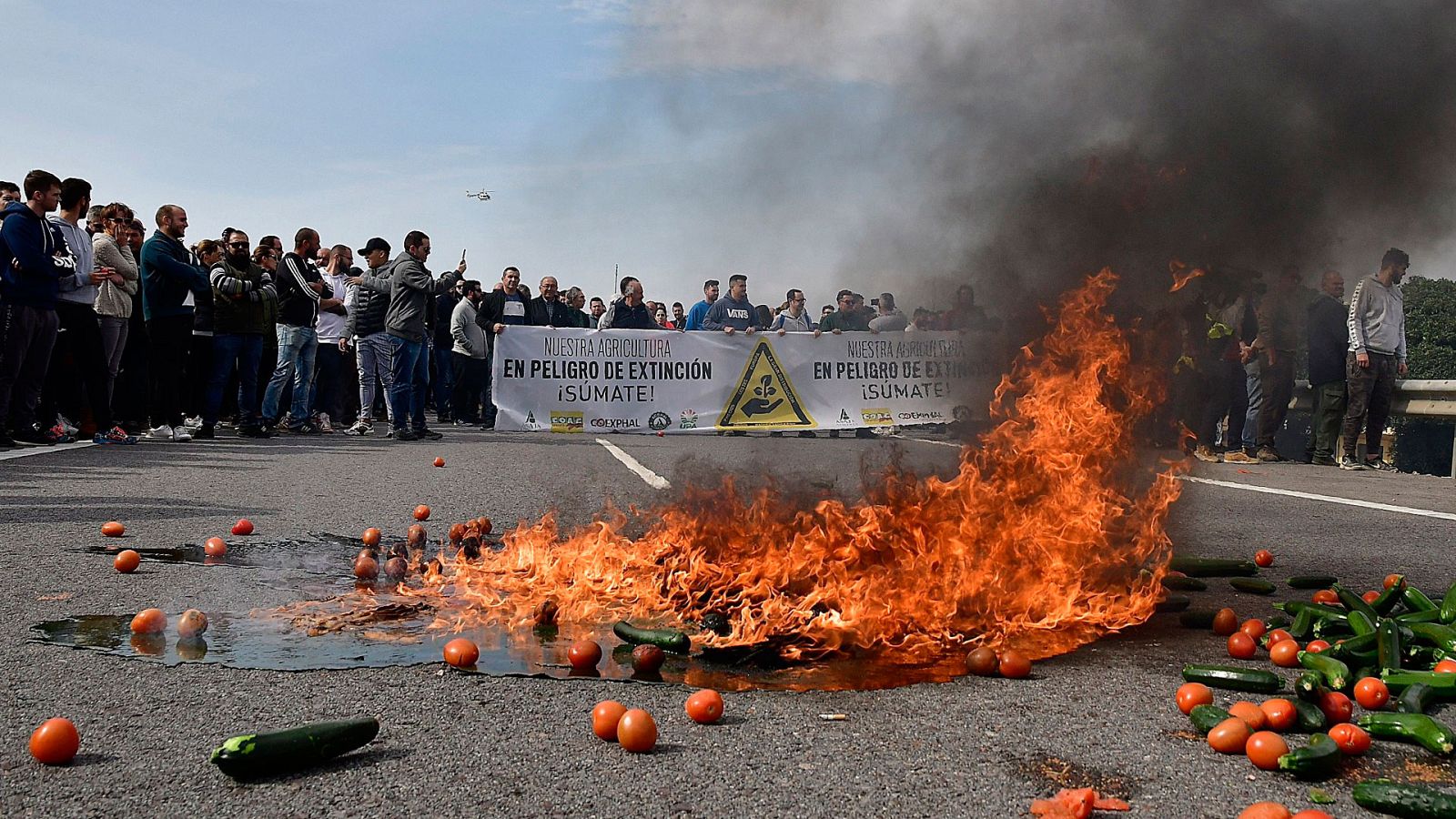 Telediario 1 en cuatro minutos - 18/02/20 - Ver ahora