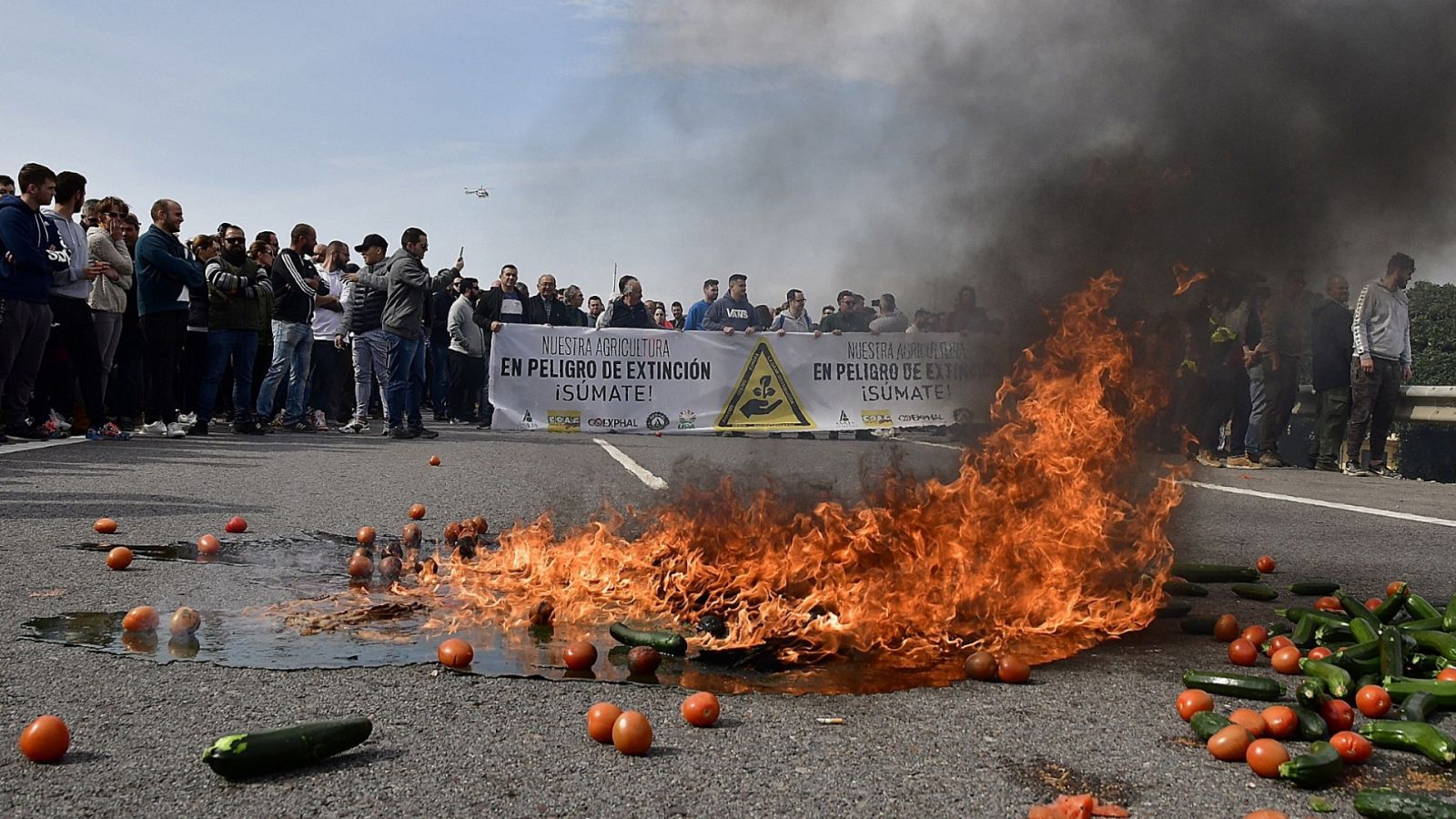 Telediario - 15 horas - 18/02/20 - RTVE.es