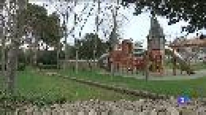 Informatiu Balear - Informatiu Balear 2 - 18/02/20