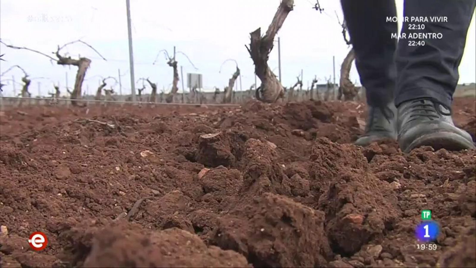 Las protestas del campo