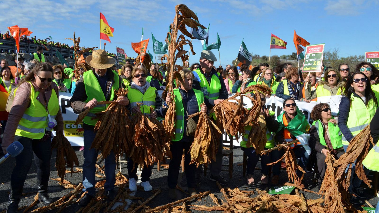 Manifestaciones agricultores | Los agricultores reclaman precios justos en Extremadura y Almería - RTVE.es