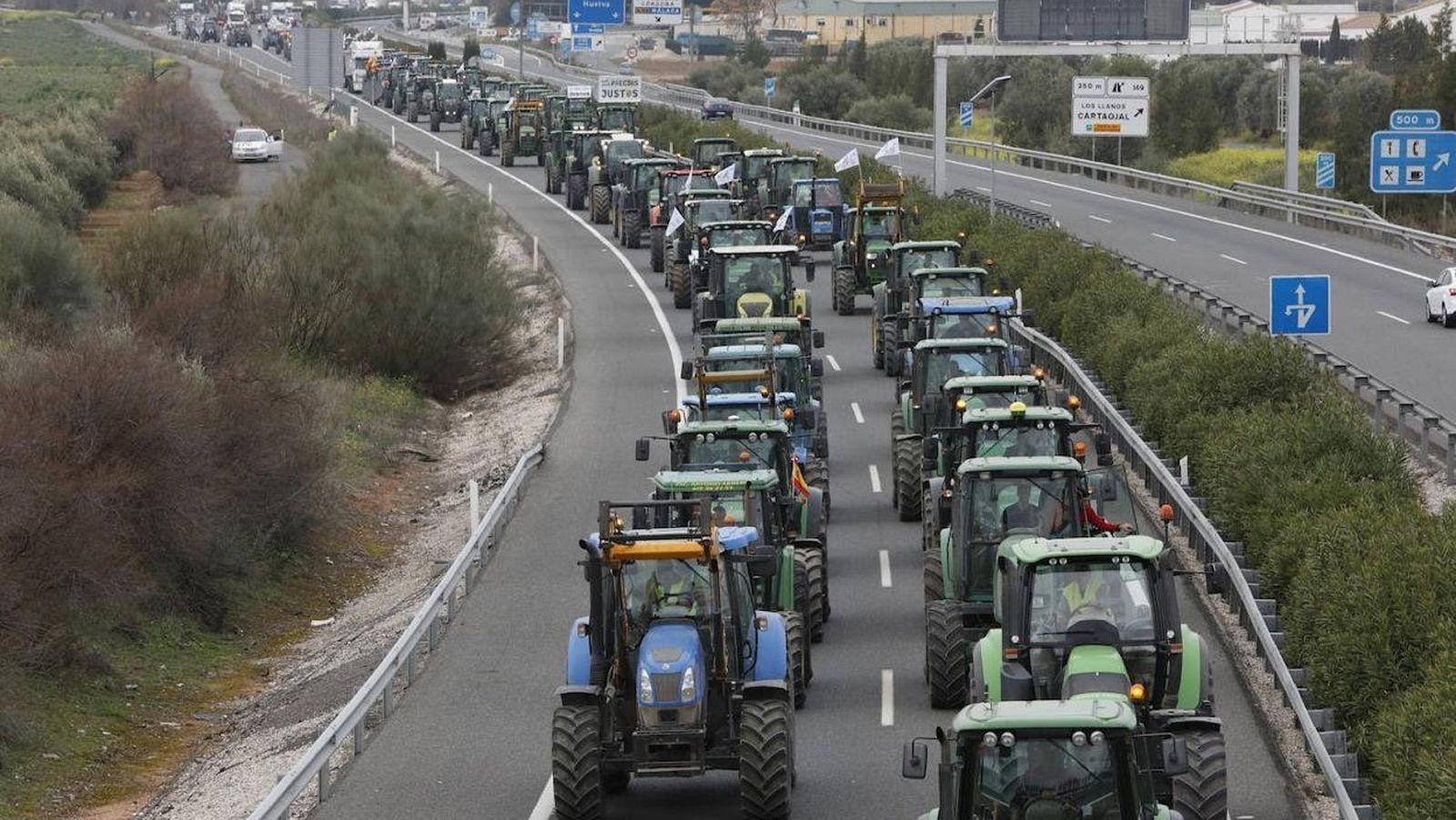 Tractoradas en Granada, protestas en A Coruña y un encierro en Pamplona por el futuro del campo