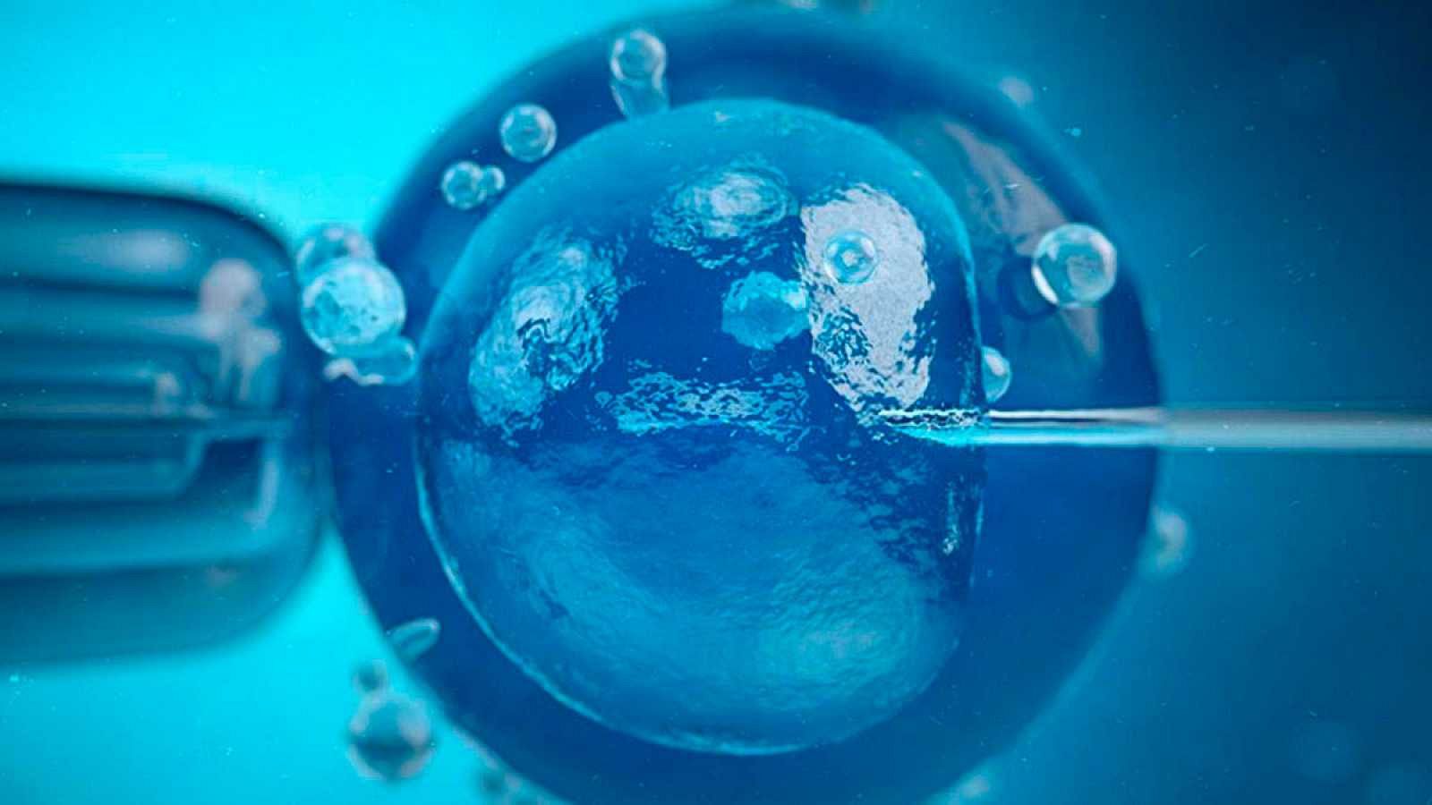 ¿Tienen los donantes de esperma y óvulos derecho al anonimato?