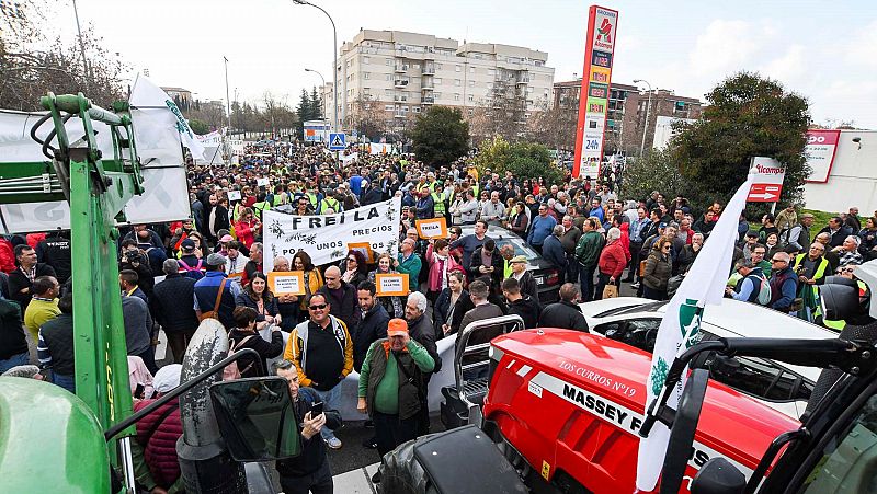 Manifestaciones de agricultores en Granada, Pamplona y A Coruña