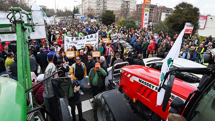 Telediario - 15 horas - 19/02/20