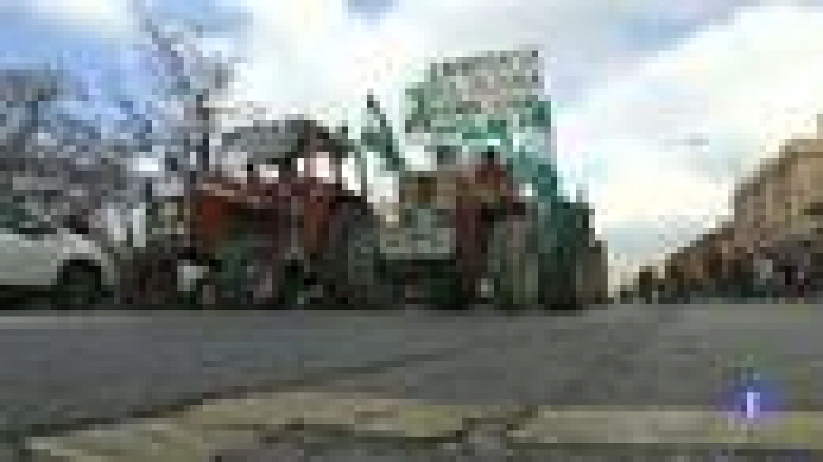 Noticias Andalucía - 19/02/2020 | Ver