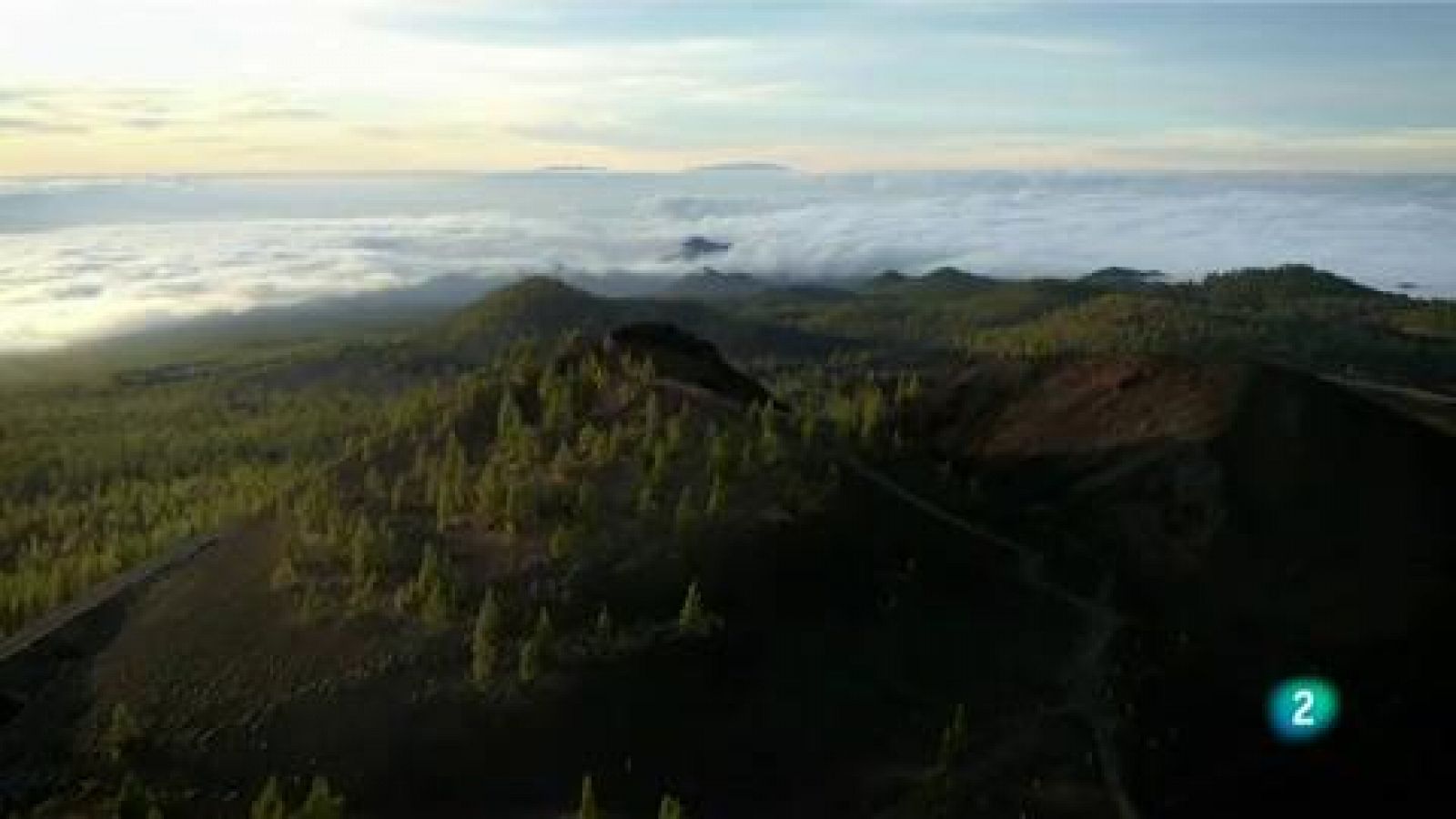 La aventura del Saber: Tenerife frente al cambio climático | RTVE Play