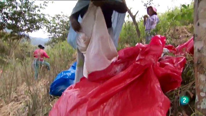 La 2 Noticias - El cambio climático y todas sus consecuencias en Latinoamérica se ensaña especialmente con las mujeres