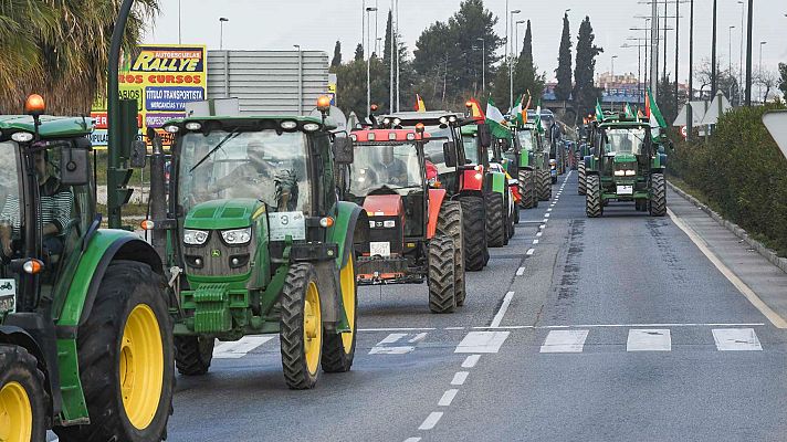 Telediario 1 - Agricultores y ganaderos colapsan las calles de Granada, Pamplona y A Coruña en defensa del campo