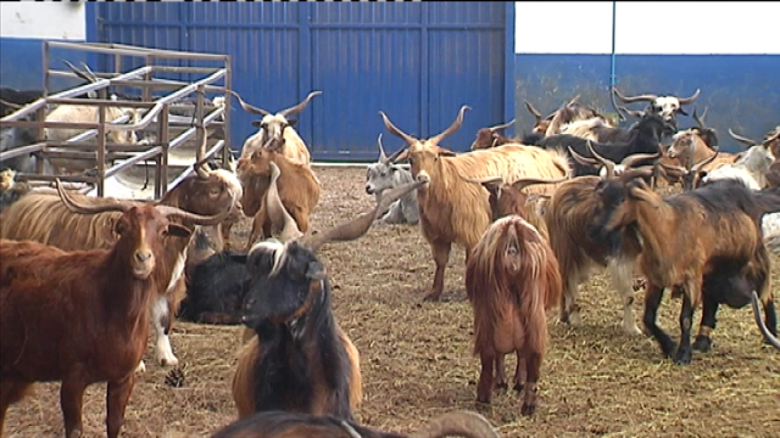 Telecanarias 2 - 19/02/2020 