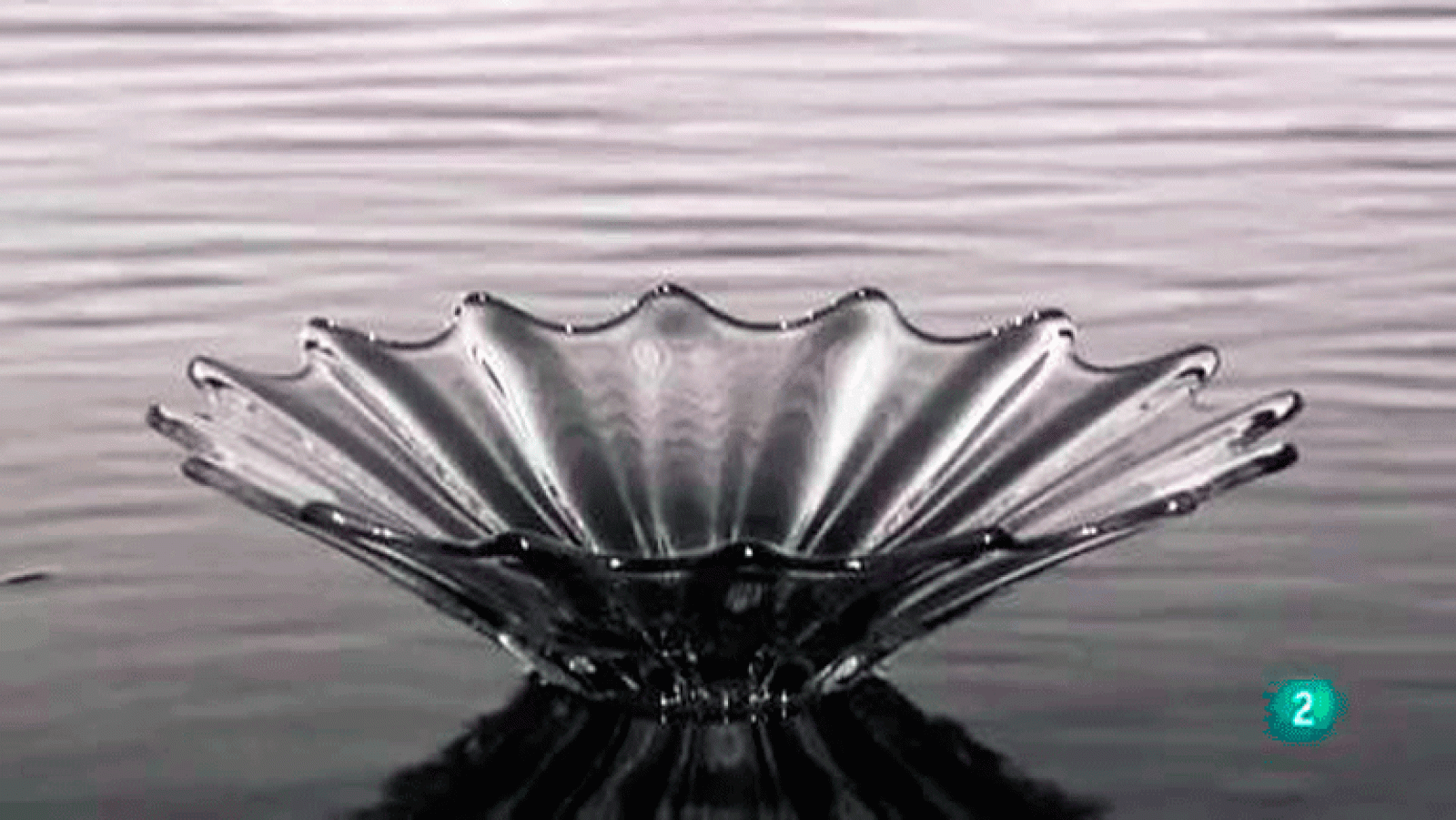 La aventura del saber Chema Madoz Real Jardín Botánico La naturaleza de las cosas