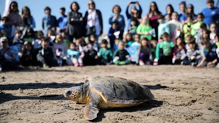 L'informatiu - Comunitat Valenciana - La Comunidad Valenciana en 2' - 20/02/20