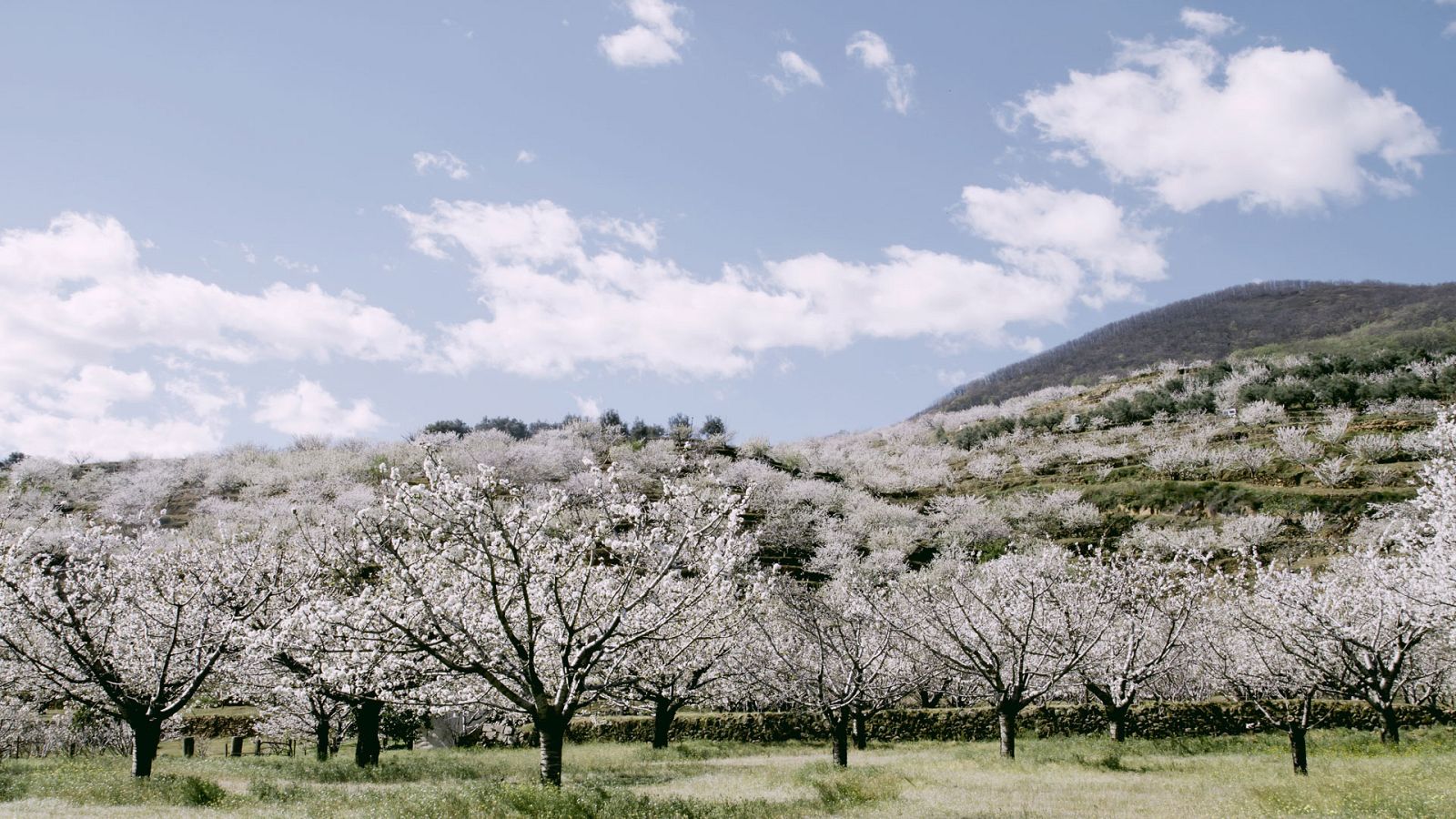 Poco nuboso o despejado en gran parte de España - ver ahora