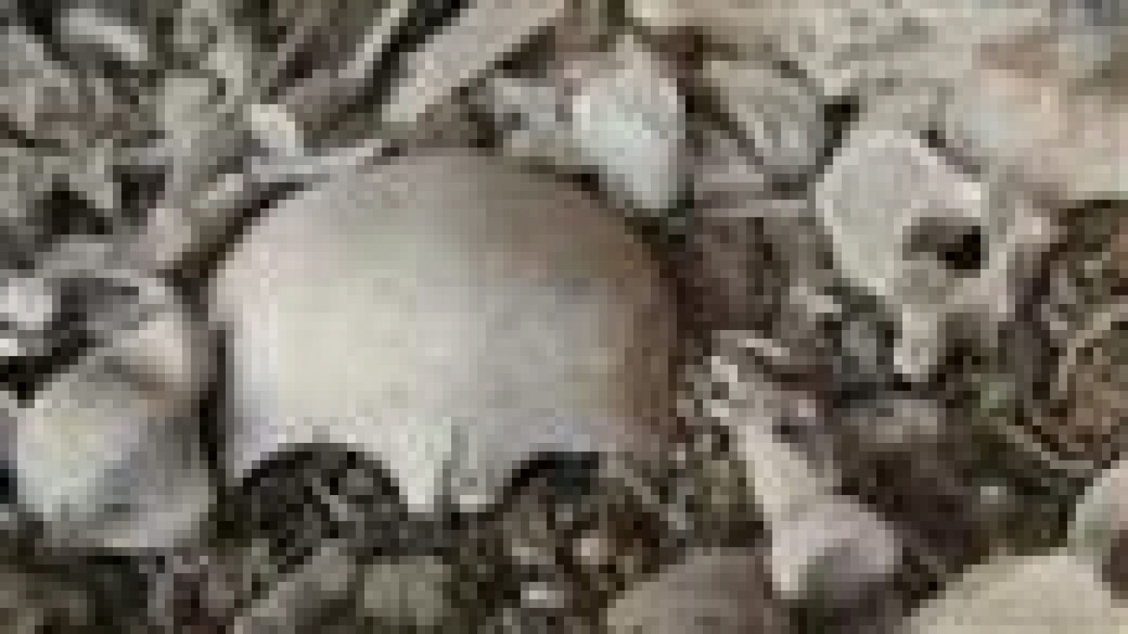 Canarias en 2' - 20/02/2020