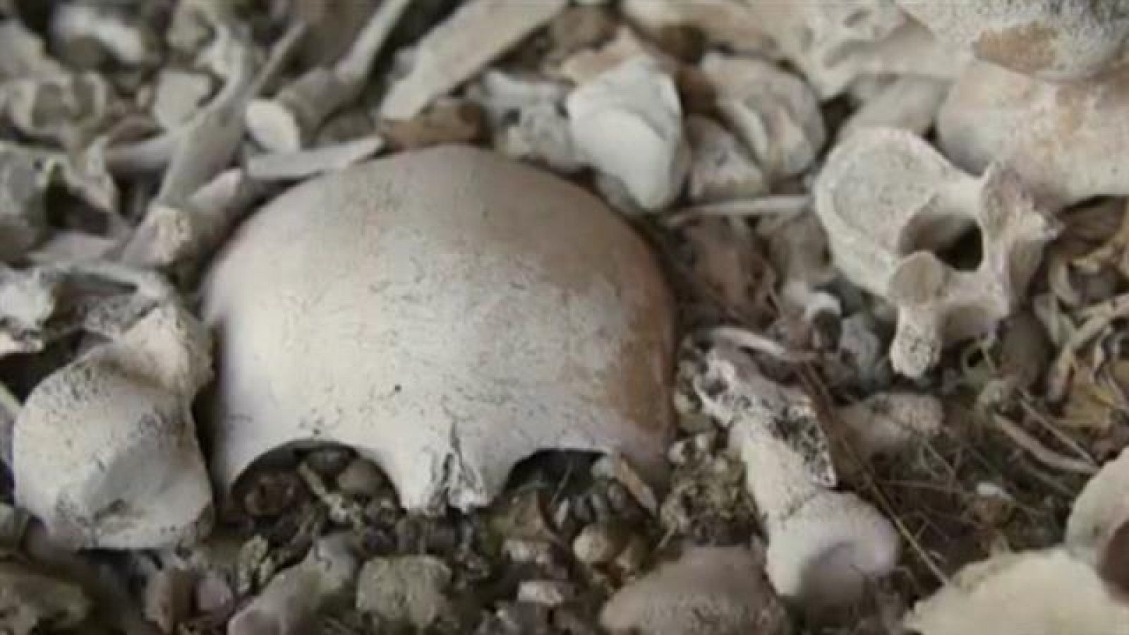 Canarias en 2' - 20/02/2020 