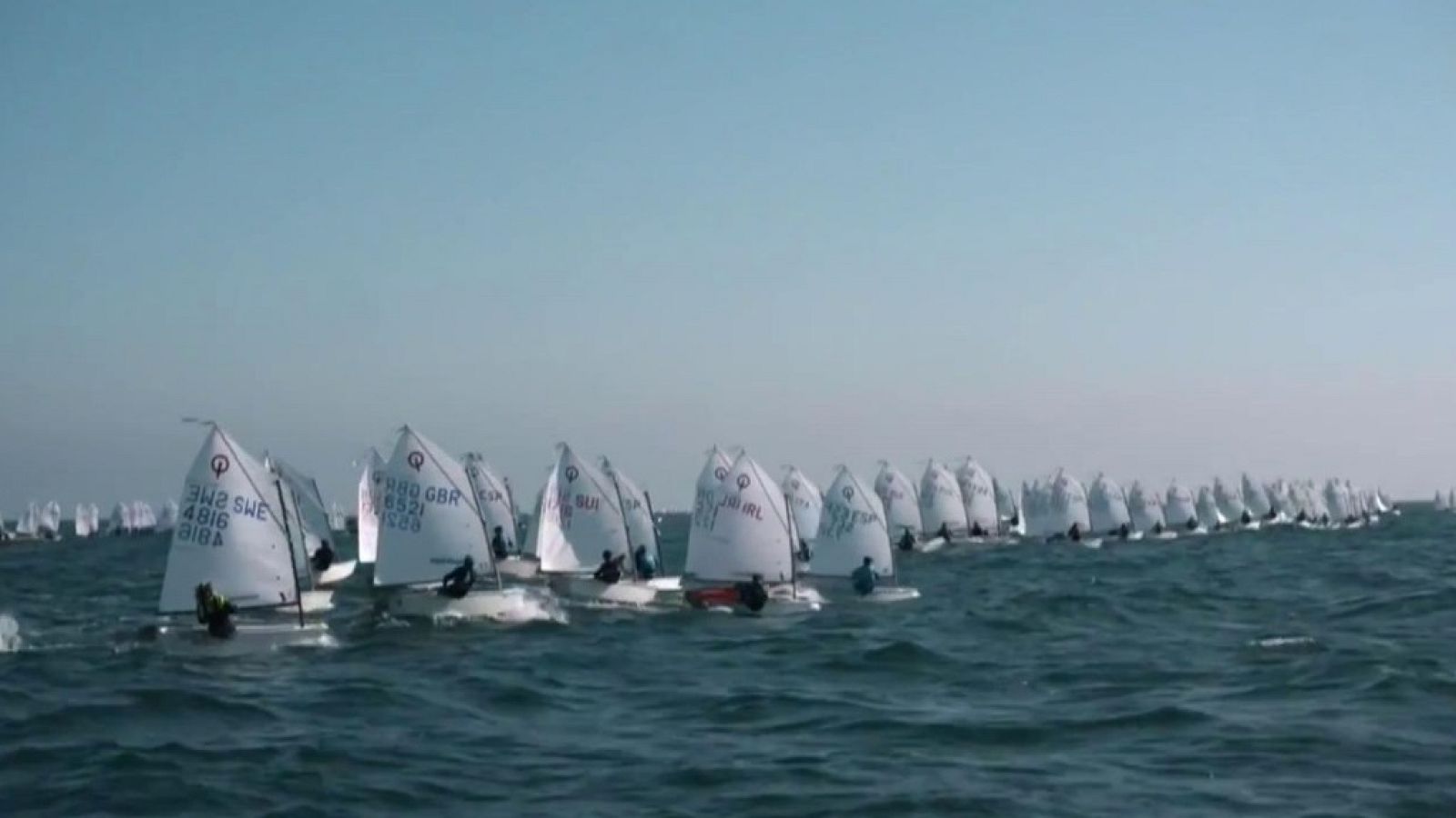 Vela - Optimist Trophy + Olympic Week 2020 - ver ahora