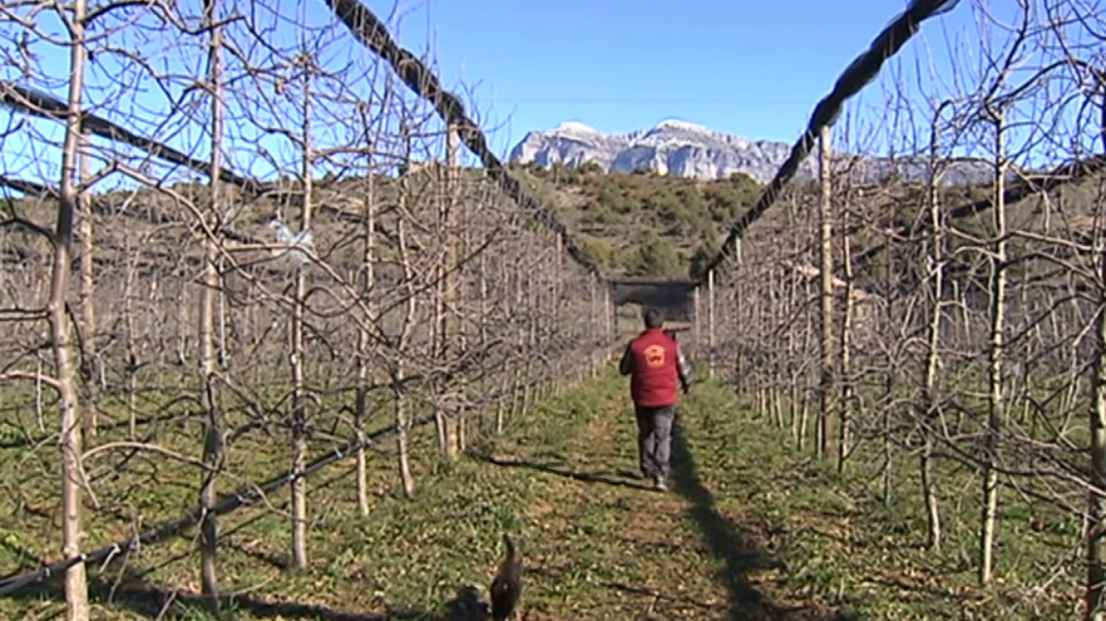España en Comunidad - 22/02/20 - ver ahora