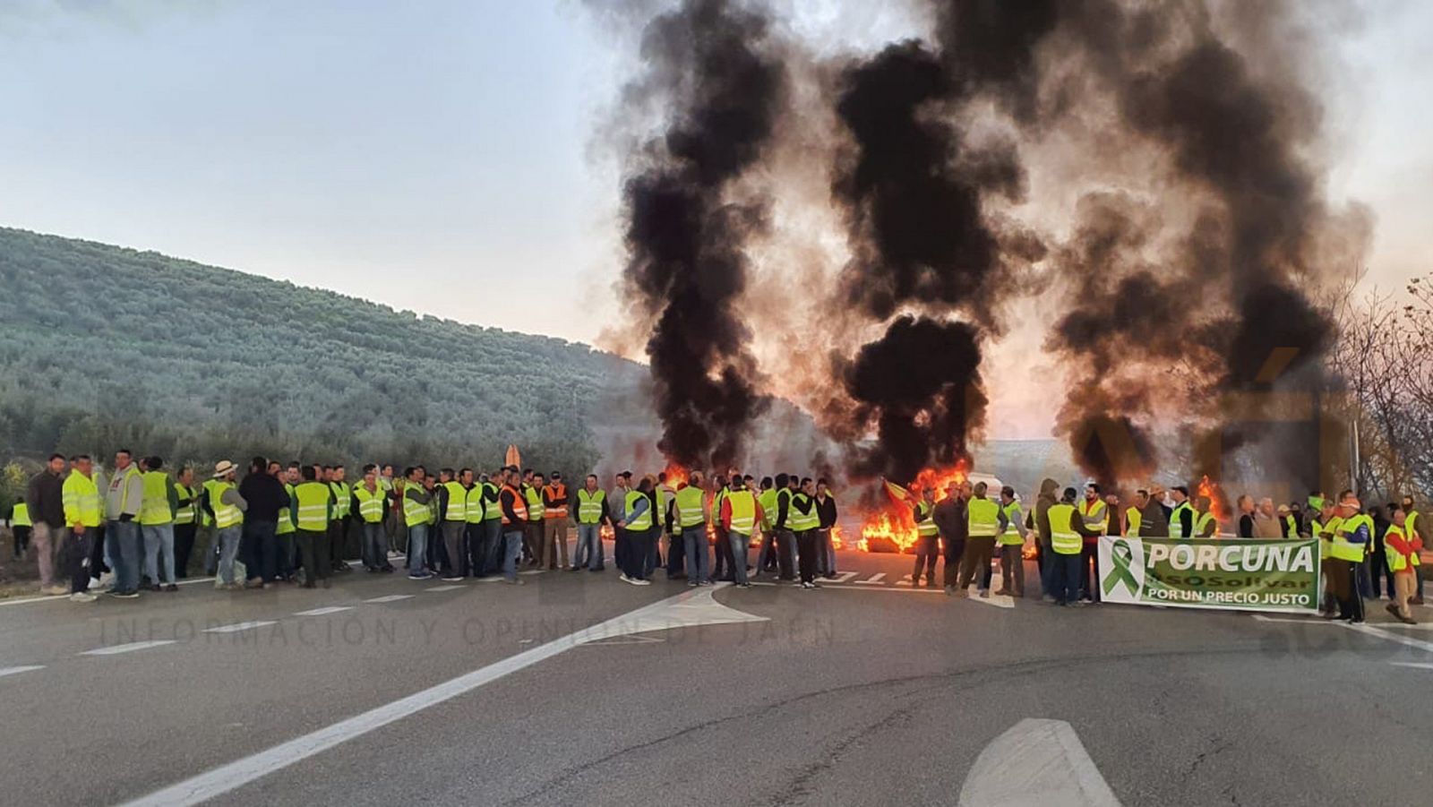 Cortes de carreteras en Jaén por la protesta de los olivareros